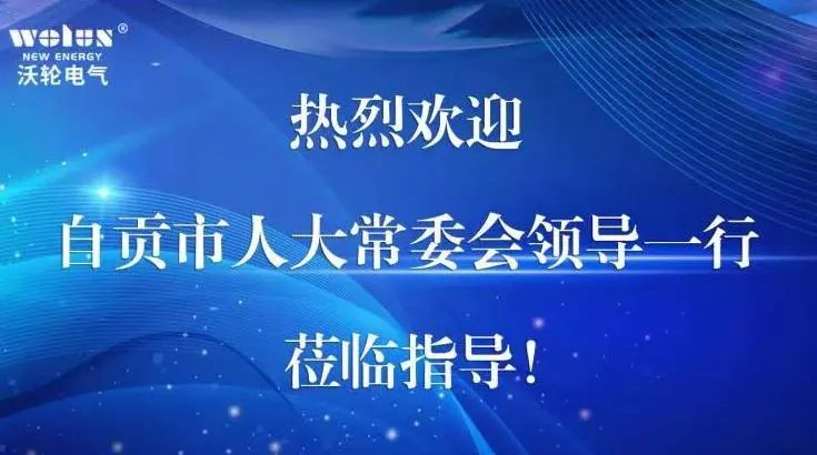 【Leadership Care】Gu Ronghua, a member of the Party Committee and Secretary of the Party Group of the Standing Committee of the People's Congress of Zigong City, visited Wolun Electric for research and guidance.