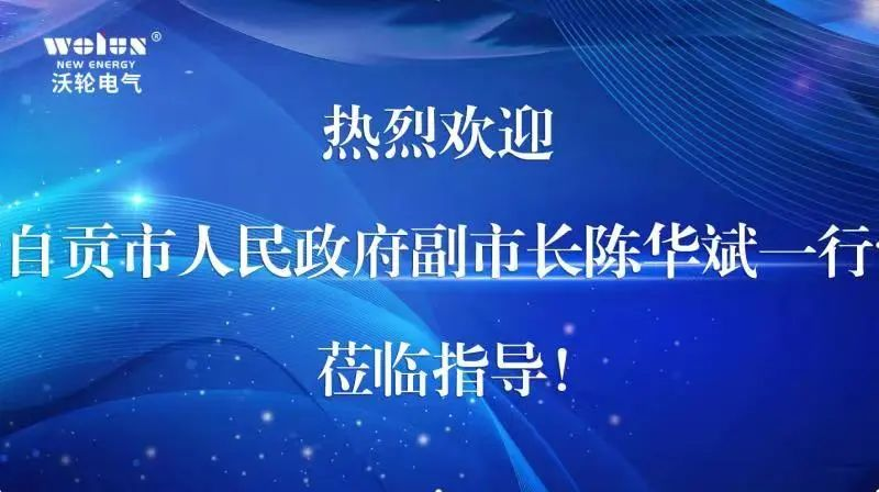 【Leadership Care】Chen Huabin, Deputy Mayor of the People's Government of Zigong City, led a team to visit Wolun Electric and express condolences to Dr. Luo