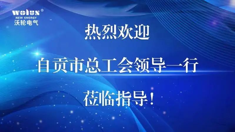 【Leadership Care】Chen Peng, Secretary of the Party Group and Executive Vice Chairman of the Zongguan Federation of Trade Unions, led a team to visit and console Wolun Electric.